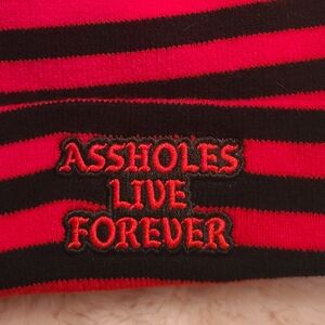 ASSHOLES LIVE FOREVER  Touque